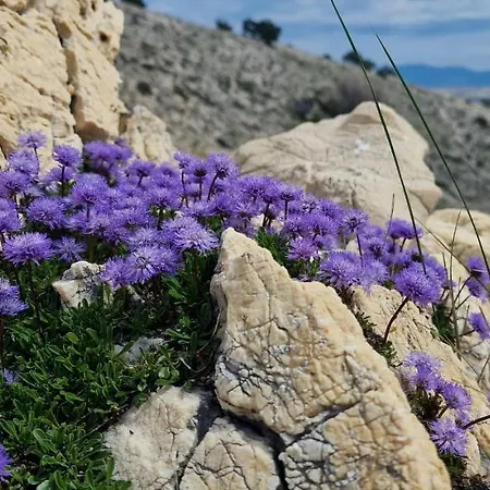Swim And Climb Baska House - Island Krk Ferienhaus *