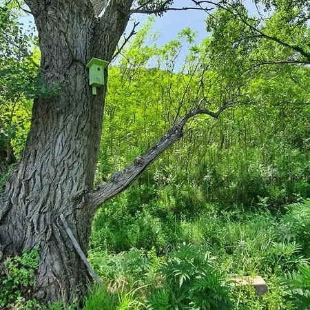Swim And Climb Baska House - Island Krk
