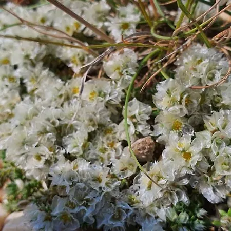 בית נופש Swim And Climb Baska House - Island Krk Draga Bašćanska
