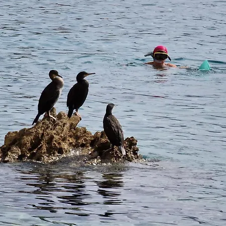 בית נופש Swim And Climb Baska House - Island Krk