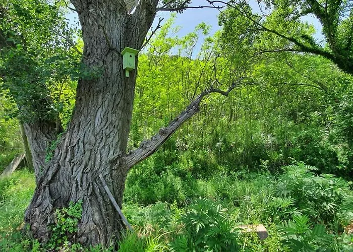 Swim And Climb Baska House - Island Krk