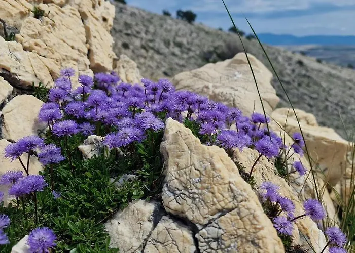 Swim And Climb Baska House - Island Krk 別荘 *